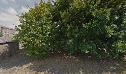 Cantine festive, Traiteur à La Boissière-de-Montaigu