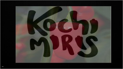 Kochi Miris, Traiteur à Villeneuve-Saint-Georges