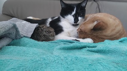 Meignant Gérard, Traiteur à Gennes-Val-de-Loire