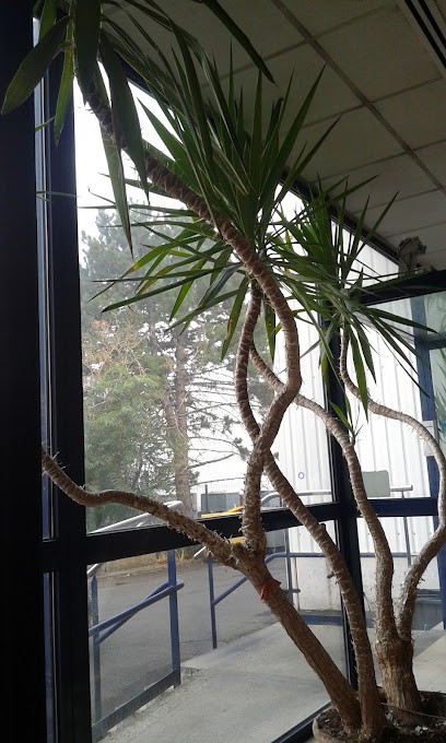 Déli Planète, Traiteur à Créteil