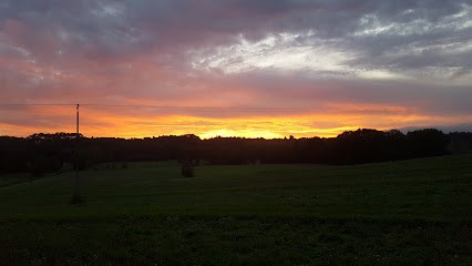 Mix Buffet, Traiteur à Guer
