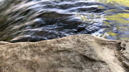 Le Bon Traiteur, Traiteur à Montfort-le-Gesnois