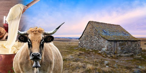 Un Goût d'Aubrac - Traiteur aligot et truffade, Traiteur à La Loubière