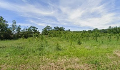 Le Fait Tout, Traiteur à Sorèze