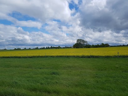 Ma Pause Préférée, Traiteur à Savigny-en-Terre-Plaine