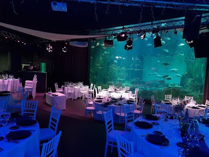 2L Organisation |Traiteur 94 | Tous événements, Traiteur au Plessis-Trévise