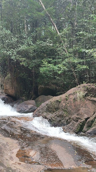 Sinnamary, Traiteur au Blanc-Mesnil