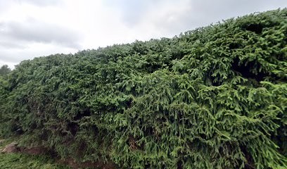 E.Leclerc TRAITEUR Marmoutier, Traiteur à Marmoutier