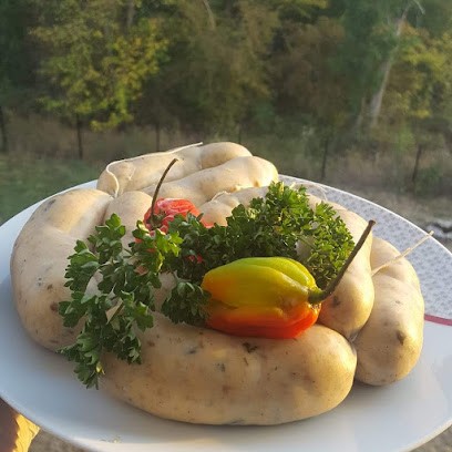 Les Saveurs D'Apollon, Traiteur au Perray-en-Yvelines