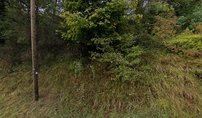 Cuisine Des Saveurs Du Jardin Divers, Traiteur à Die